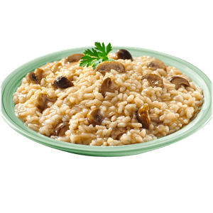  Risotto Al Porcini